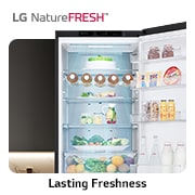 LG Réfrigérateur combiné GBV7280BPY |387L | FRESHBalancer™, Fraîcheur durable, GBV7280BPY, thumbnail 12